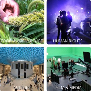 Fields of translation works We specialise in language services for the following areas